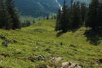 2015-07-01_2Drijaggenalm (110).JPG